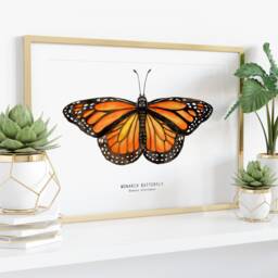 Monarch Butterfly Art Print - Danaus Plexippus Watercolor Fine Girls Nature Wall Home D??cor, Bedroom Prints Housewarming Gift - thumbnail 3