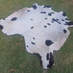Real Cowhide For Upholstery Projects- Rugs Floor - Black Spotted Cowhide - thumbnail 2