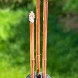 Labradorite Orgone Cloud Buster - Chembuster, Energy Harmonizer - thumbnail 2