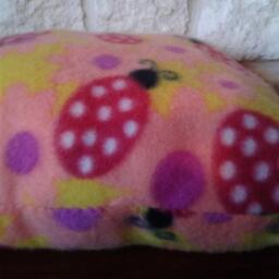 Ladybug Fleece Throw Pillow Kids Nursery Decor - thumbnail 2