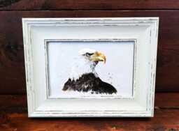 Bald Eagle Mini Art Print 17x12cm - Framed White Rustic Frame - American Bird Of Prey Wall Art, Wildlife Decor, Gift For Nature Lovers