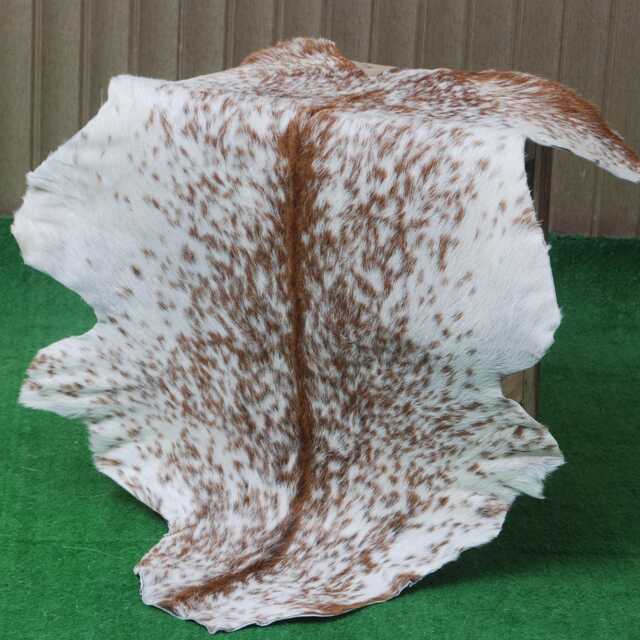 Brown & White Goat Skin Rug - Natural Animal Hide, Rustic Decor - 36x21 Inches - image 1
