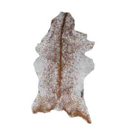 Brown & White Goat Skin Rug - Natural Animal Hide, Rustic Decor - 36x21 Inches - thumbnail 2