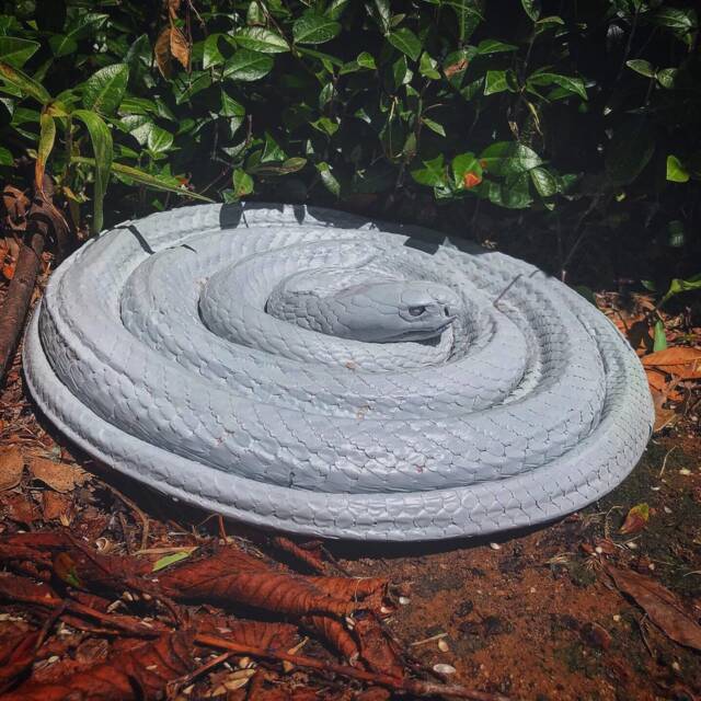 Forest Cobra Deathcast - image 1