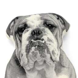 Silkscreened Bulldog Throw Pillow, Dog Lover Gift - thumbnail 3