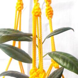 Yellow Mini Macrame Plant Holder 18 Inches 3 Mm Hanging Planter Beautiful Flowerpots Indoor Or Outdoor Decor Wall Hanging Window Decorations - thumbnail 3