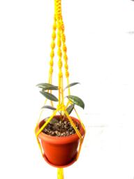 Yellow Mini Macrame Plant Holder 18 Inches 3 Mm Hanging Planter Beautiful Flowerpots Indoor Or Outdoor Decor Wall Hanging Window Decorations - thumbnail 1
