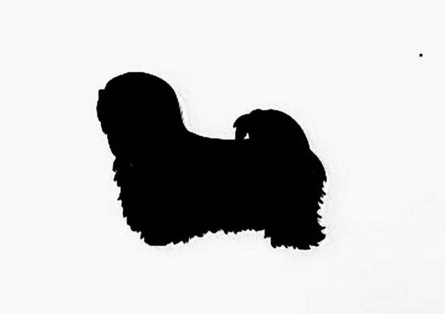 Lhasa Apso Dog Wall Art Kennel Plaque Sign in Black