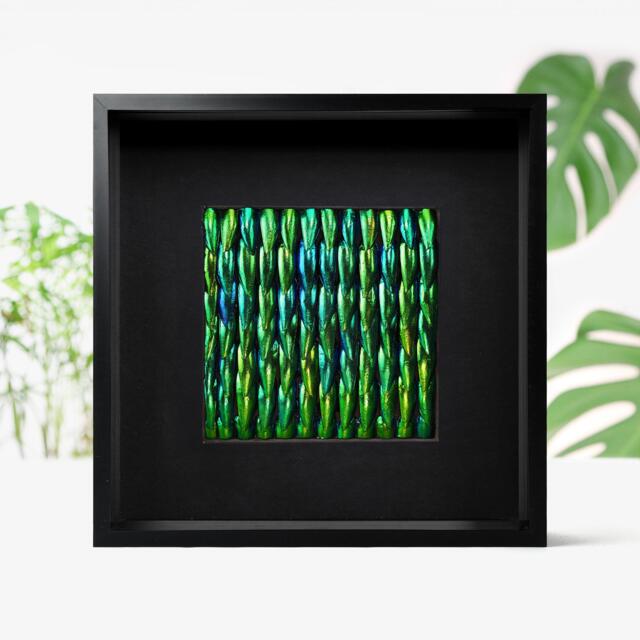 Jewel Beetle Elytra Zeleny Metamorphosis Mosaic Taxidermy Insects Bug Interior Design Modern Home Decor Wall Hanging Gift Ornament - image 1
