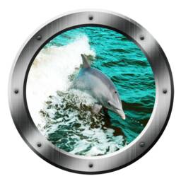 Vwaq Dolphin Porthole Wall Decal Ocean Sticker Animal Nature View Family Vwaq-Po3 - thumbnail 2