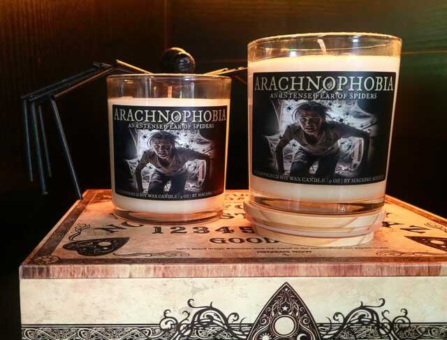 Arachnophobia - The Fear Of Spiders, Frosted Glass 8Oz Candle - image 1