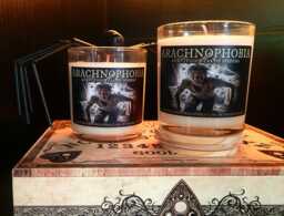 Arachnophobia - The Fear Of Spiders, Frosted Glass 8Oz Candle - thumbnail 1