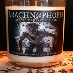 Arachnophobia - The Fear Of Spiders, Frosted Glass 8Oz Candle - thumbnail 2