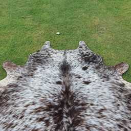 Brown & White Real Cowhide Rug-Large Rug-Genuine Hair On Cow Skin Rug-Brindle Floor Area Rug-Tricolor Speckled Rug - thumbnail 2