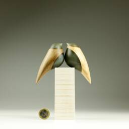 Duo Love Birds - 57 - thumbnail 2