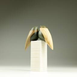 Duo Love Birds - 57 - thumbnail 4