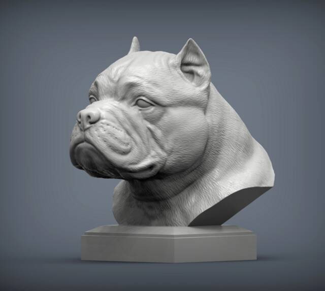 3D Printed American Bulldog Bust Pet Memorial Dog Figurine - image 1