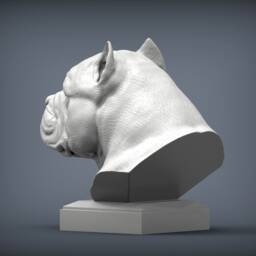 3D Printed American Bulldog Bust Pet Memorial Dog Figurine - thumbnail 3