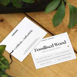 Fossilised Wood Authentic Natural History Fossil Wall-Hanging Home Decoration - thumbnail 3