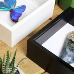 Fossilised Wood Authentic Natural History Fossil Wall-Hanging Home Decoration - thumbnail 4