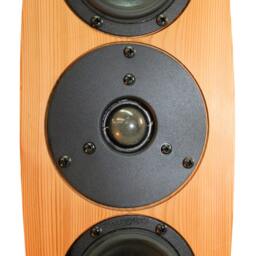 Project Plans - Digital Only Speaker, Loudspeaker, Bookshelf, Enclosure Ellipse E104, Cedar Pine - thumbnail 4
