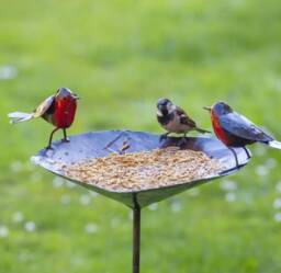 Robin Bird Bath Feeder. Metal Robins Feeder/ Birdbath. Garden Accessory - thumbnail 1