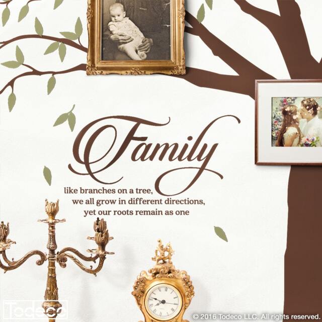 Family Tree Quote Wall Decal Like Branches On A - image 1