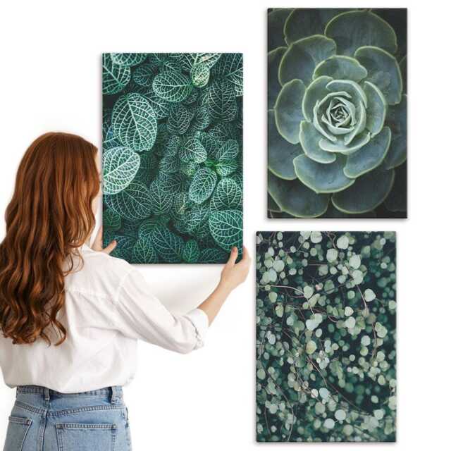 Canvas Set Of 3 - Green Leaves Succulent Plants & Delicate Twigs, Wall Art, Flowers Decor - image 1
