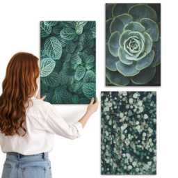 Canvas Set Of 3 - Green Leaves Succulent Plants & Delicate Twigs, Wall Art, Flowers Decor - thumbnail 1