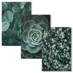 Canvas Set Of 3 - Green Leaves Succulent Plants & Delicate Twigs, Wall Art, Flowers Decor - thumbnail 2