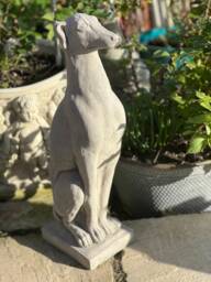 Stone/Concrete Greyhound Dog Garden Ornament Statue - thumbnail 1