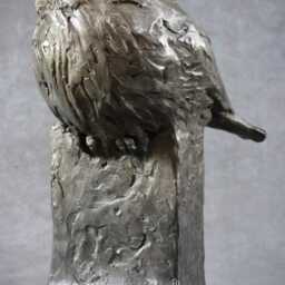 Fierce One, Pygmy Owl Cast Bronze Sculpture, Original Art By Kindrie Grove - thumbnail 3