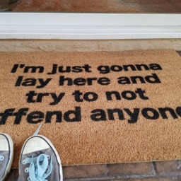 Easily Offended Funny Doormat An Entry Rug That Refuses To Discuss Politics - thumbnail 2