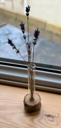 Test Tube Flower Vase With Stand Stylish Container For Live & Dried Plants Rack - thumbnail 1