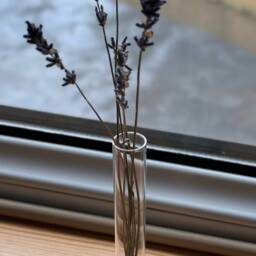 Test Tube Flower Vase With Stand Stylish Container For Live & Dried Plants Rack - thumbnail 3