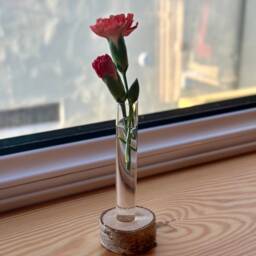 Test Tube Flower Vase With Stand Stylish Container For Live & Dried Plants Rack - thumbnail 2
