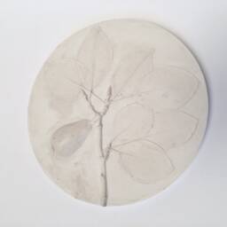 Tile Pear Tree Cast. Botanical Decorative Unique Plaster Wall Art Fram?? Wood Concrete Impression Pressed Eco Friendly - thumbnail 2