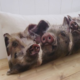 Pig Cushion Handmade Organic Cotton Wendy Darker Art Print - thumbnail 3