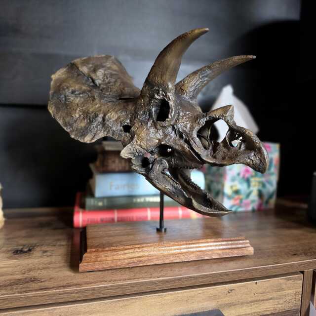 Triceratops Skull Replica - Mounted Dinosaur Fossil Art 3D Printed - image 1