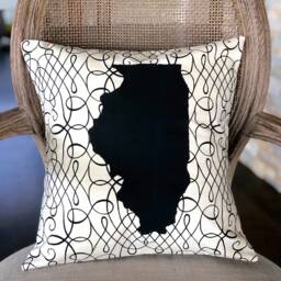 Illinois State Pillow/Illinois Decor - thumbnail 3