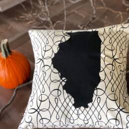 Illinois State Pillow/Illinois Decor - thumbnail 2