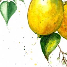 Original Lemon Watercolor Painting Kitchen Still Life Art - 9x13 Inch - thumbnail 3