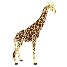 Jungle Safari Wall Decals - Peel & Stick Tree Sticker & Animal For Nursery Or Theme Baby Shower Mini Set - #1243-17 - thumbnail 4