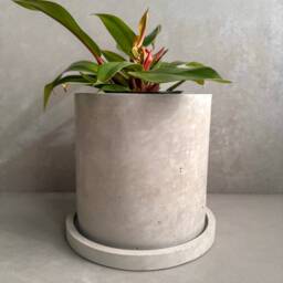 Concrete Planter With Saucer, Large Modern Plant Pot, Bubble Planter, Decorative Cement Minimalist Pot Drainage, Tall Nordic