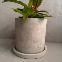 Concrete Planter With Saucer, Large Modern Plant Pot, Bubble Planter, Decorative Cement Minimalist Pot Drainage, Tall Nordic - thumbnail 3