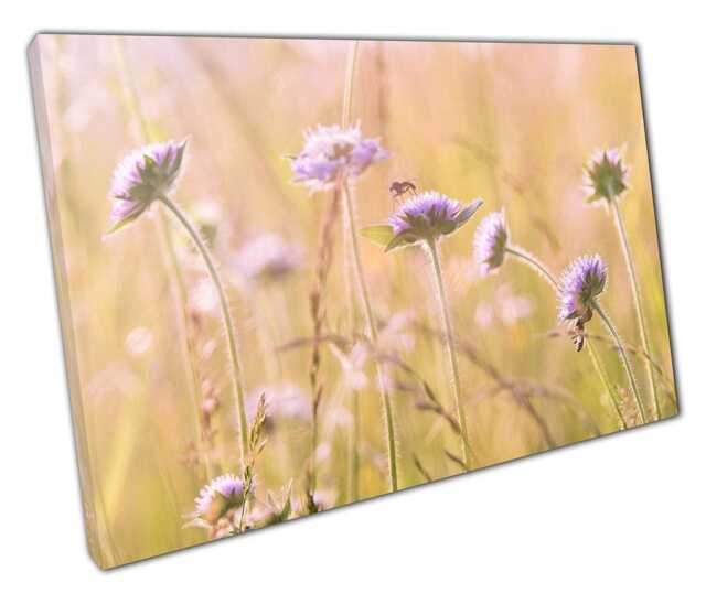 Vibrant Wild Meadow Flowers Canvas Print Elegant Ready-To-Hang Wall Art For Home & Office Decor - image 1