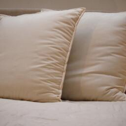 Organic Wool Pillow, Handmade For Luxury Bedding - 26x26 - thumbnail 2