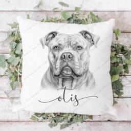 Xl Bully Cushion, Pillow, Gift, Gift For Him, Xl Lover, Her, Bully, Owner, Dog Cushion - thumbnail 2