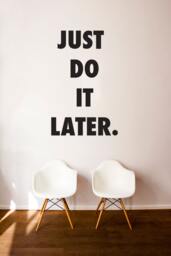 Just Do It Later Quote - Vinyl Wall Decal Sticker - thumbnail 1