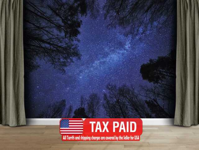 Night Sky Milky Way Forest Wallpaper Mural, Peel & Stick Wall Decal - image 1